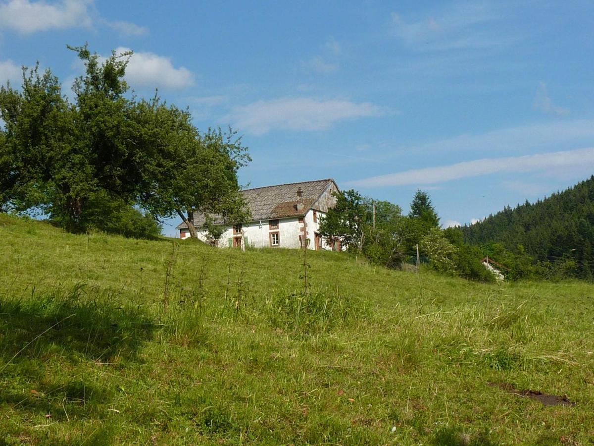 Vagney Charming Holiday Home Near The Ski Slopes מראה חיצוני תמונה