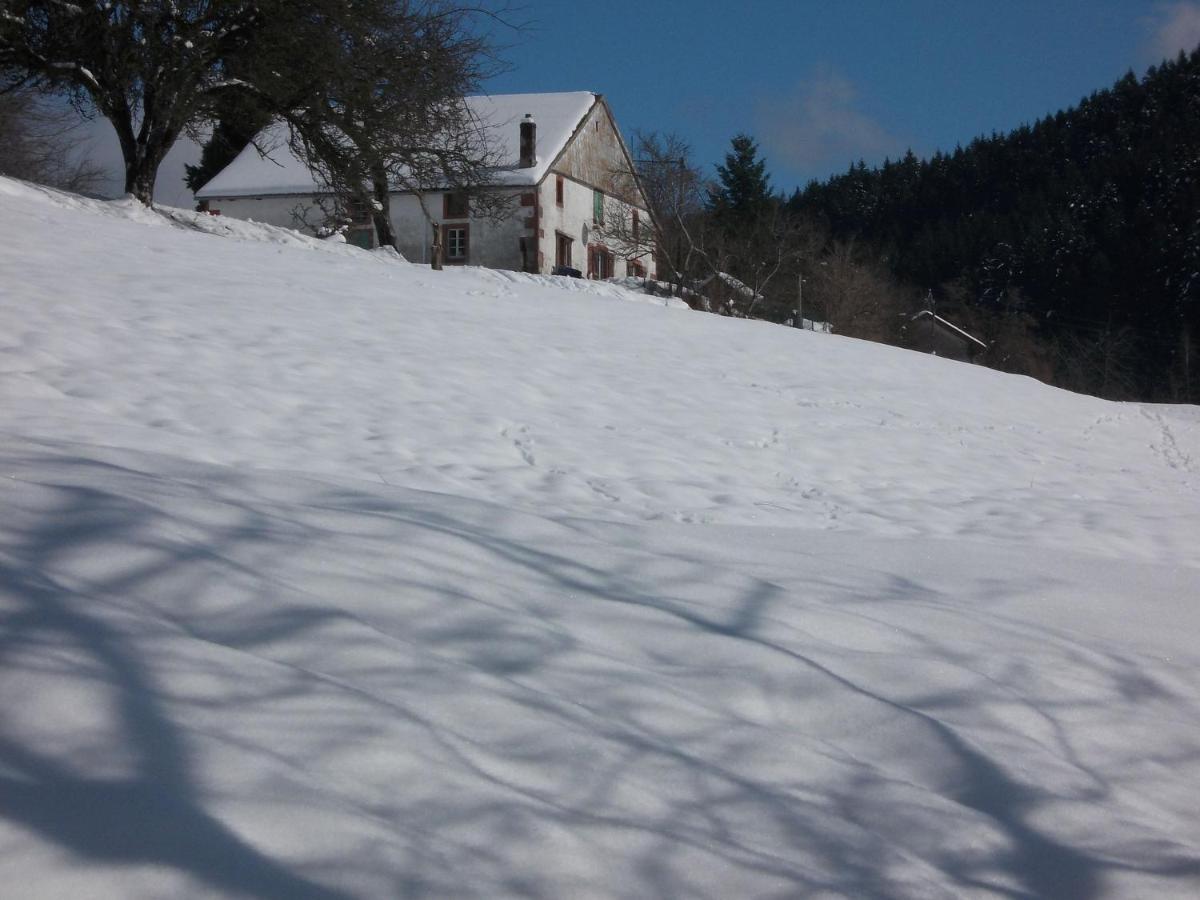 Vagney Charming Holiday Home Near The Ski Slopes מראה חיצוני תמונה
