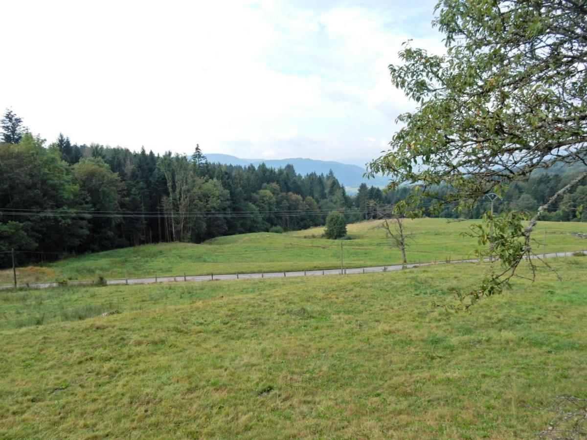 Vagney Charming Holiday Home Near The Ski Slopes מראה חיצוני תמונה