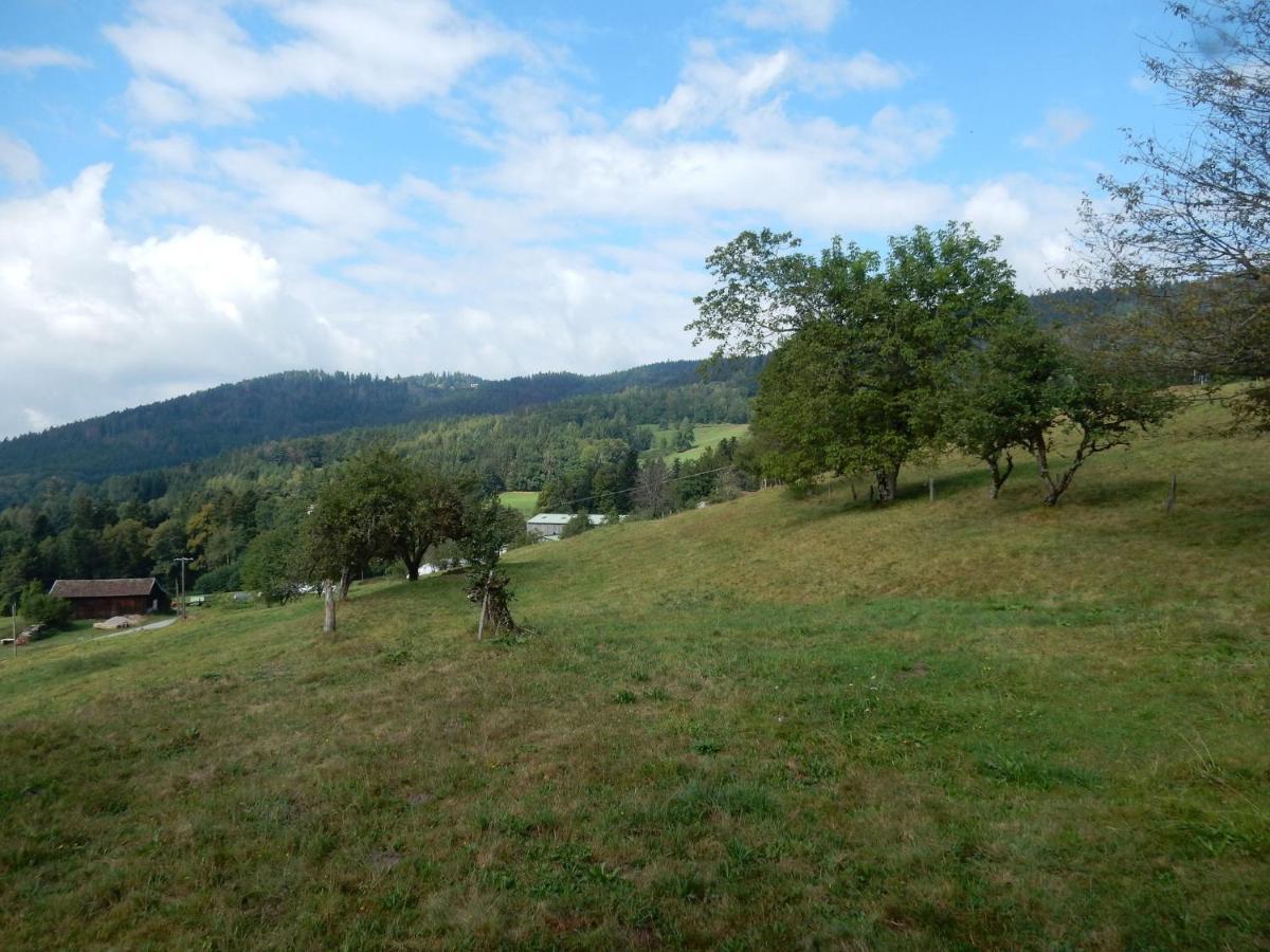 Vagney Charming Holiday Home Near The Ski Slopes מראה חיצוני תמונה