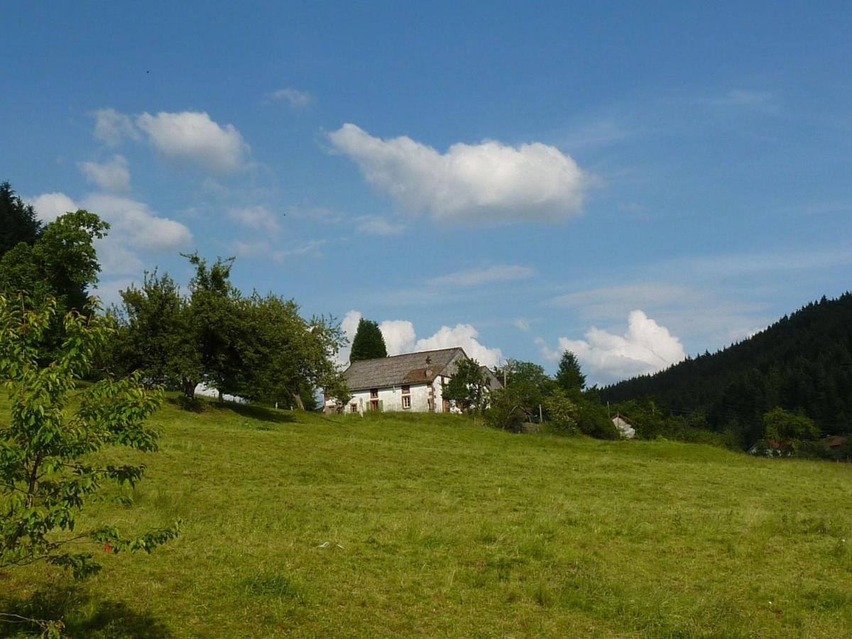 Vagney Charming Holiday Home Near The Ski Slopes מראה חיצוני תמונה