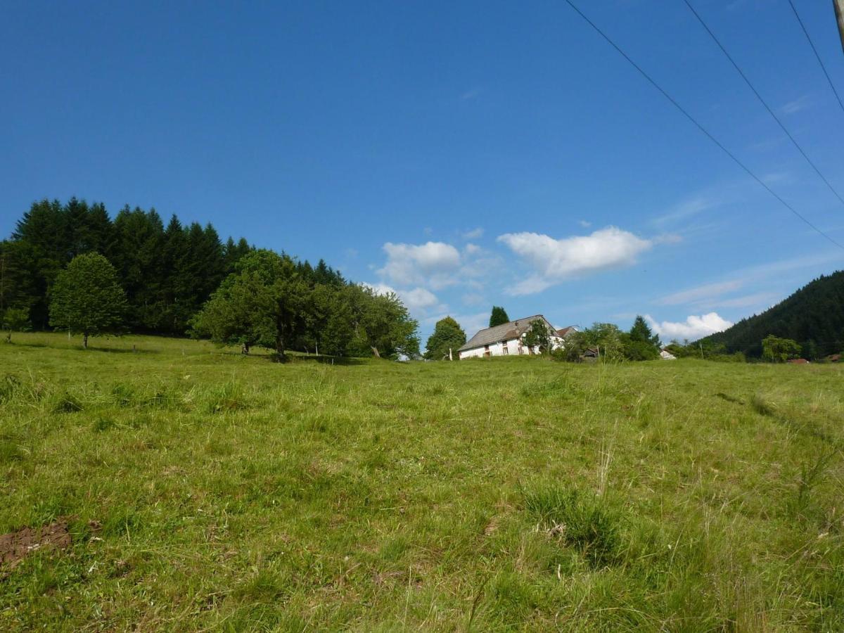Vagney Charming Holiday Home Near The Ski Slopes מראה חיצוני תמונה