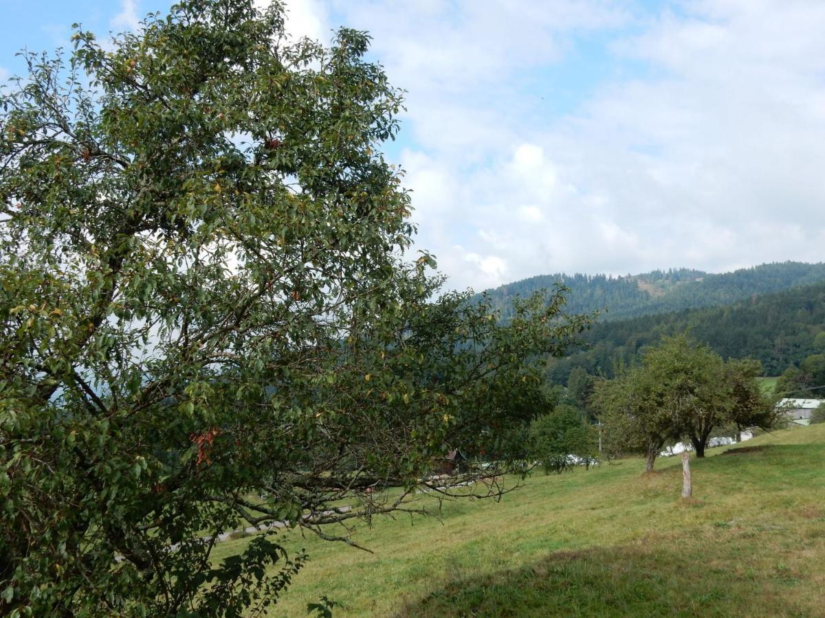 Vagney Charming Holiday Home Near The Ski Slopes מראה חיצוני תמונה