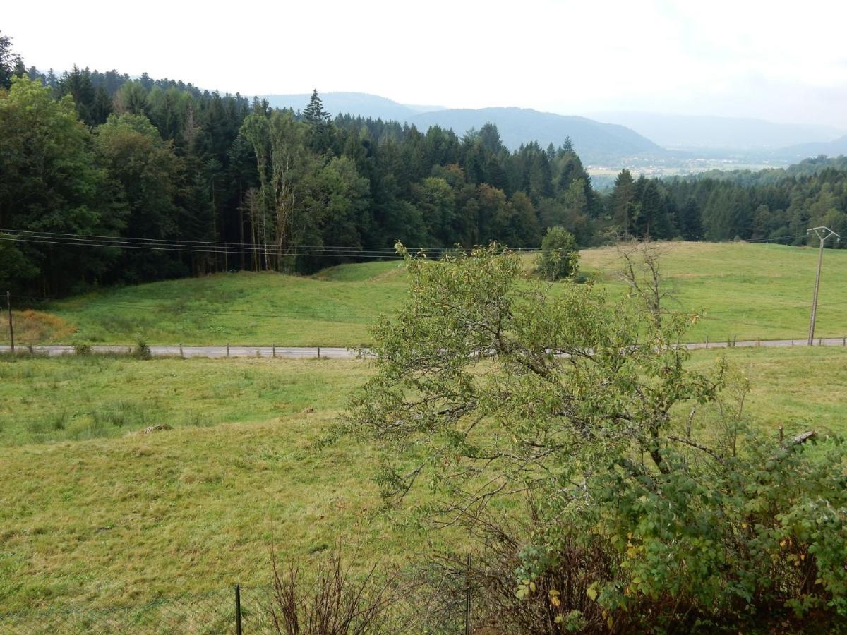 Vagney Charming Holiday Home Near The Ski Slopes מראה חיצוני תמונה