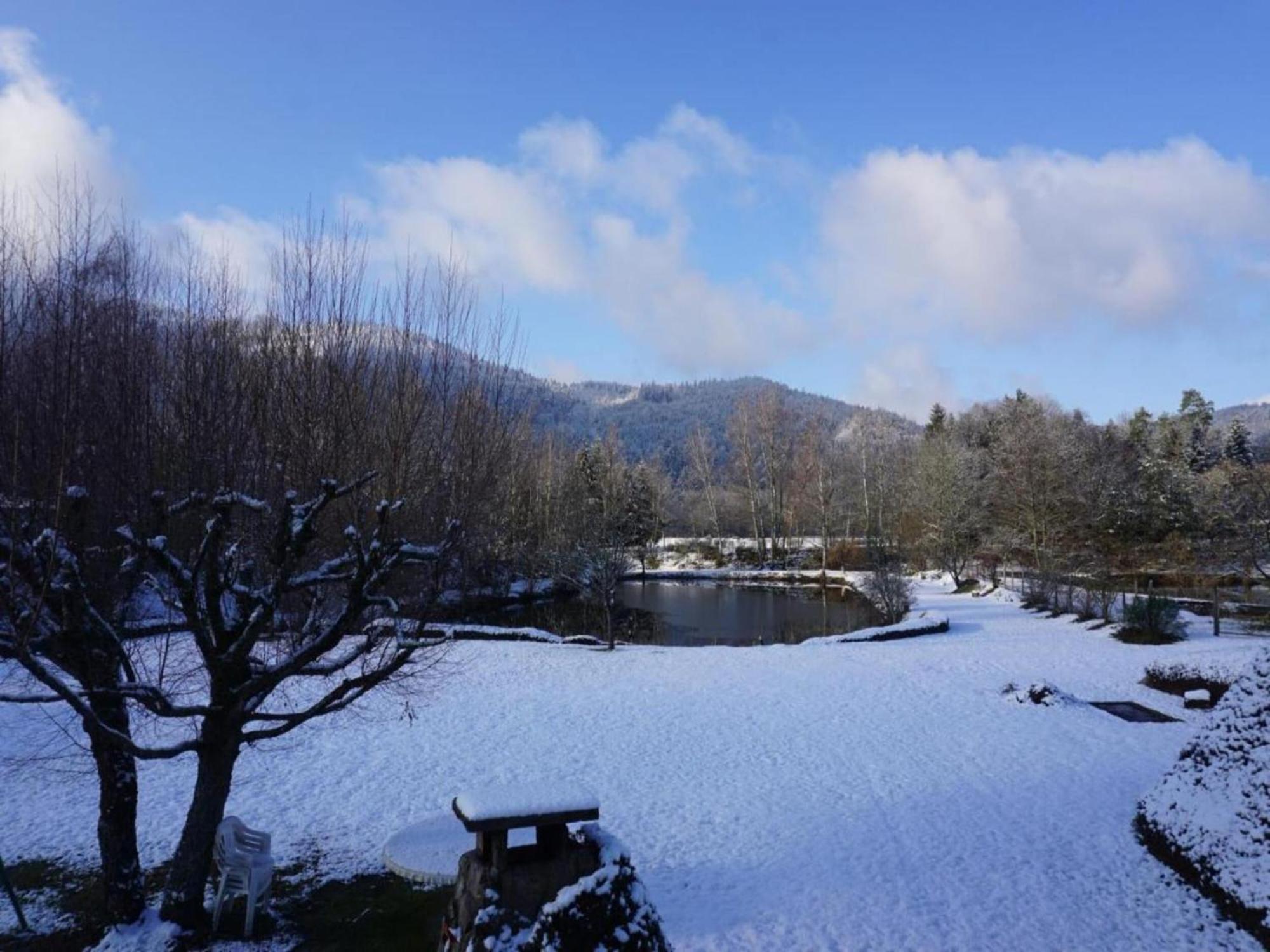 Vagney Charming Holiday Home Near The Ski Slopes מראה חיצוני תמונה